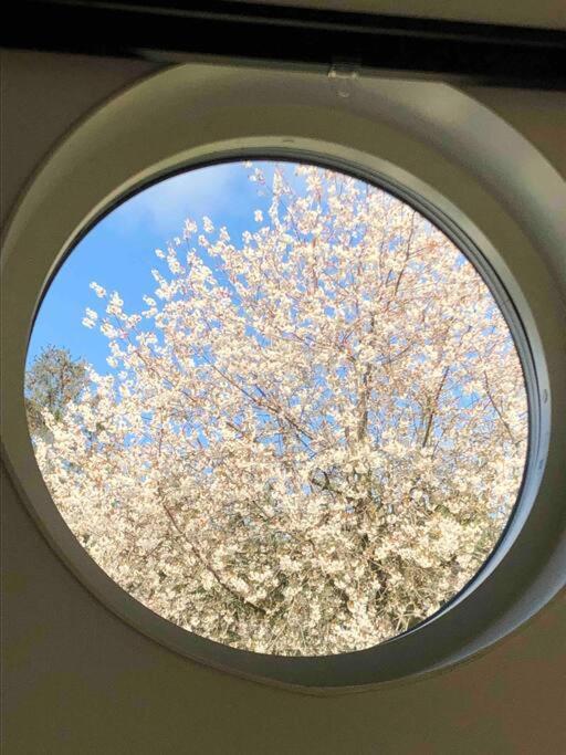 Villa Lyckehusen Löddeköpinge エクステリア 写真