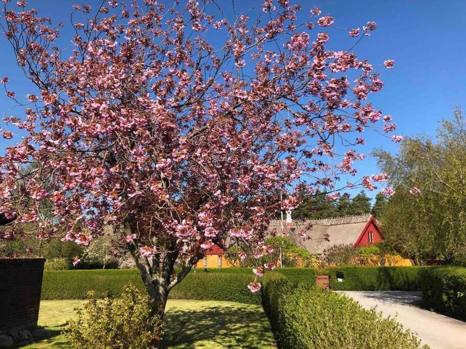 Villa Lyckehusen Löddeköpinge エクステリア 写真